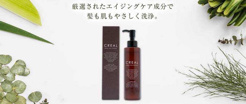 �N���A���I�[�K�j�b�N�V�����v�[���T�C�g